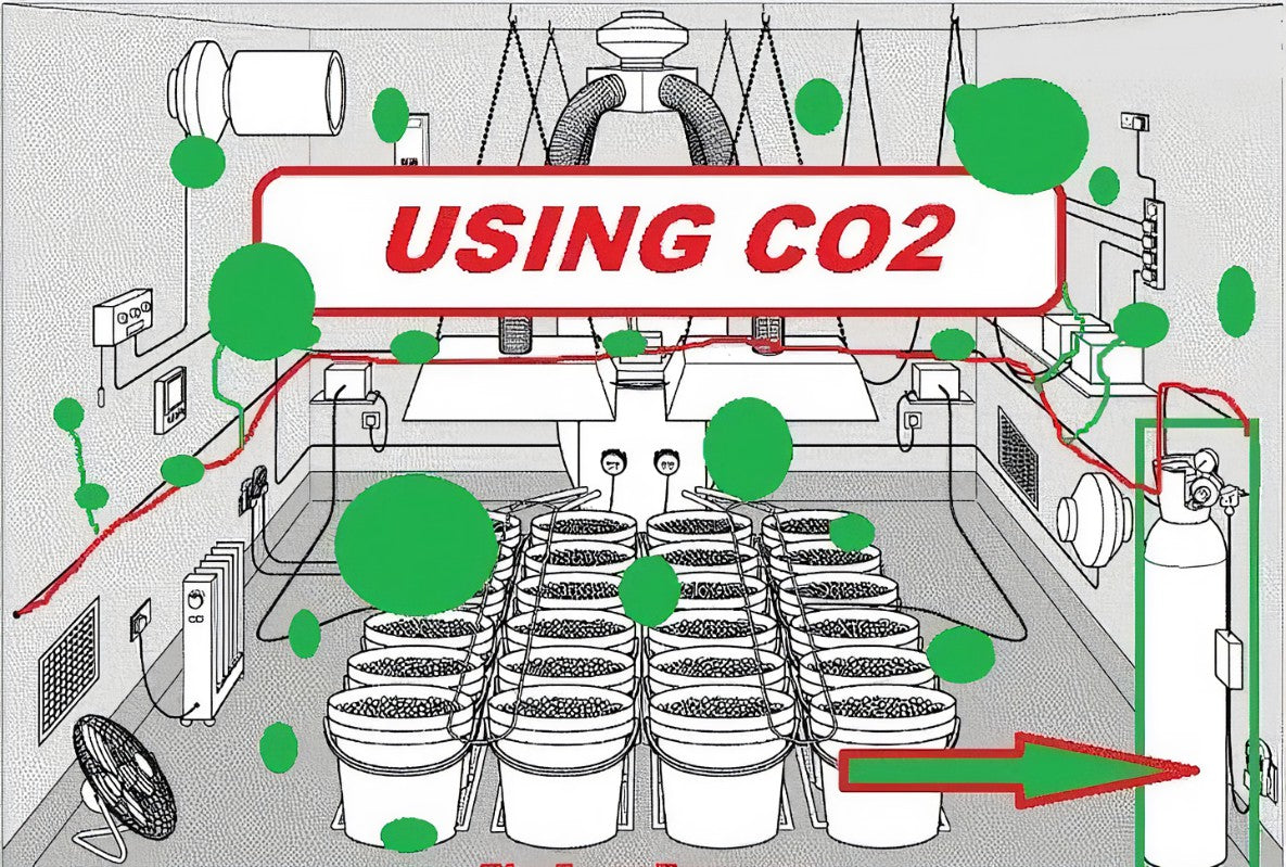 Growing With Added CO2