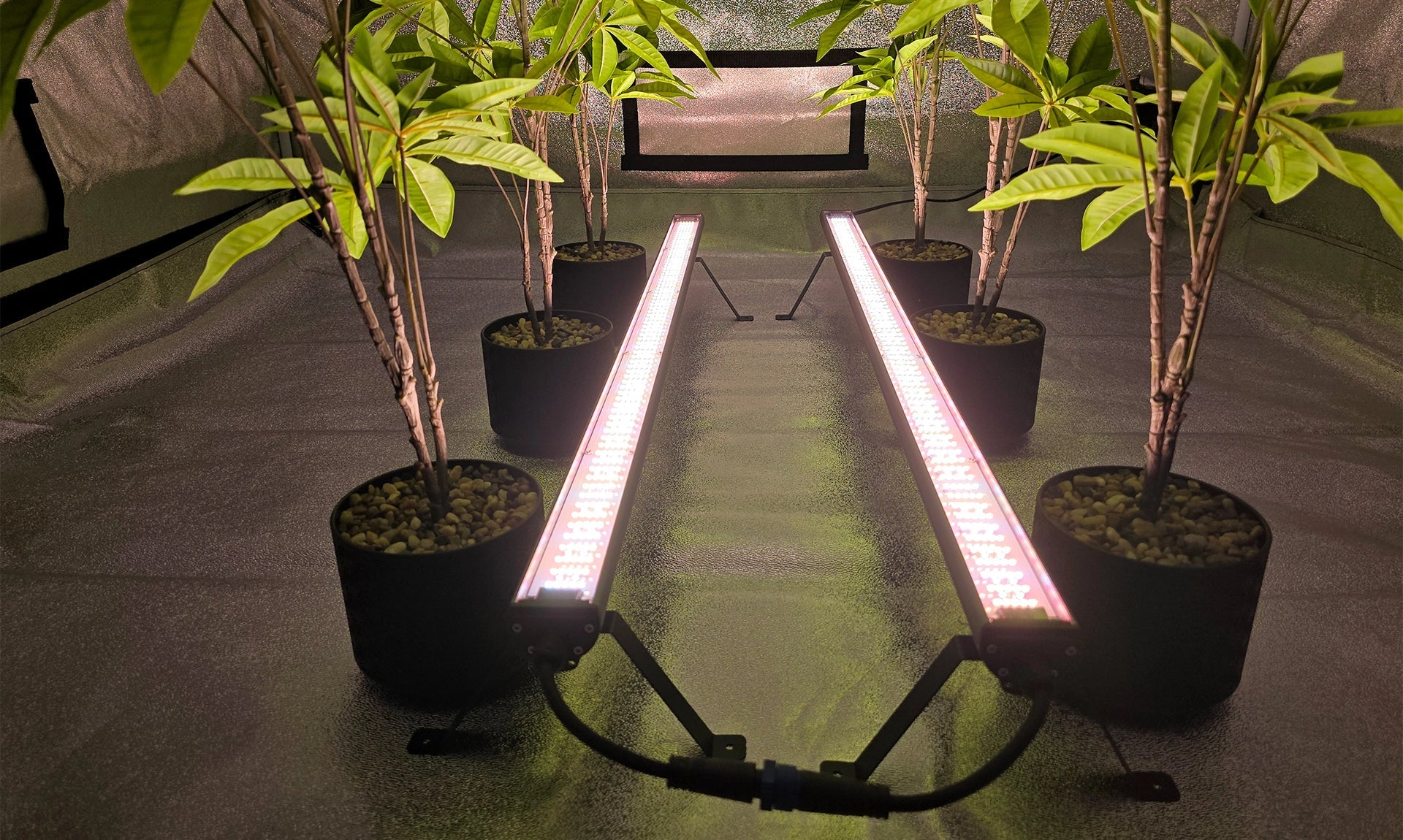 The Future of Indoor Growing Just Got Brighter: Introducing the UnderDawg 120W Under Canopy LEDs