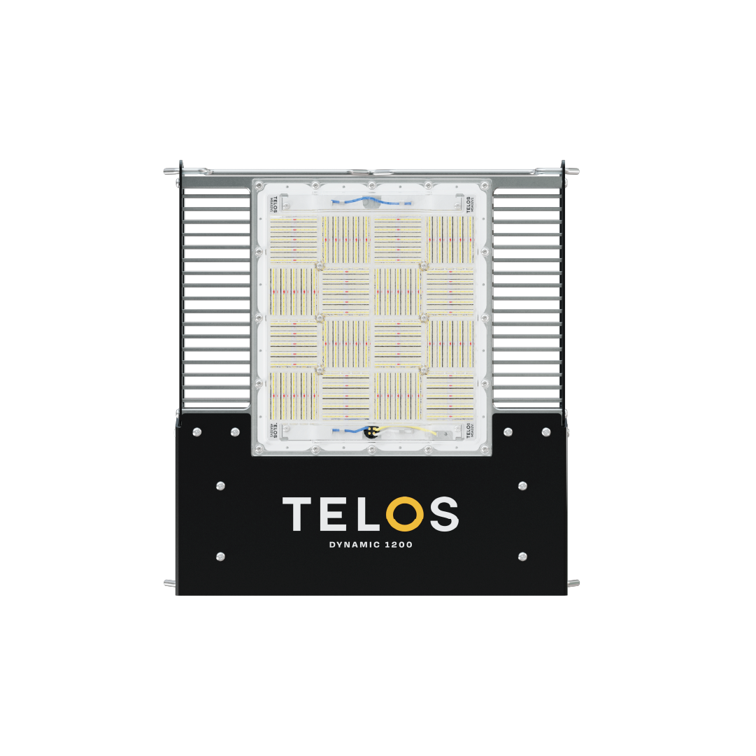 Telos Dynamic 1200
