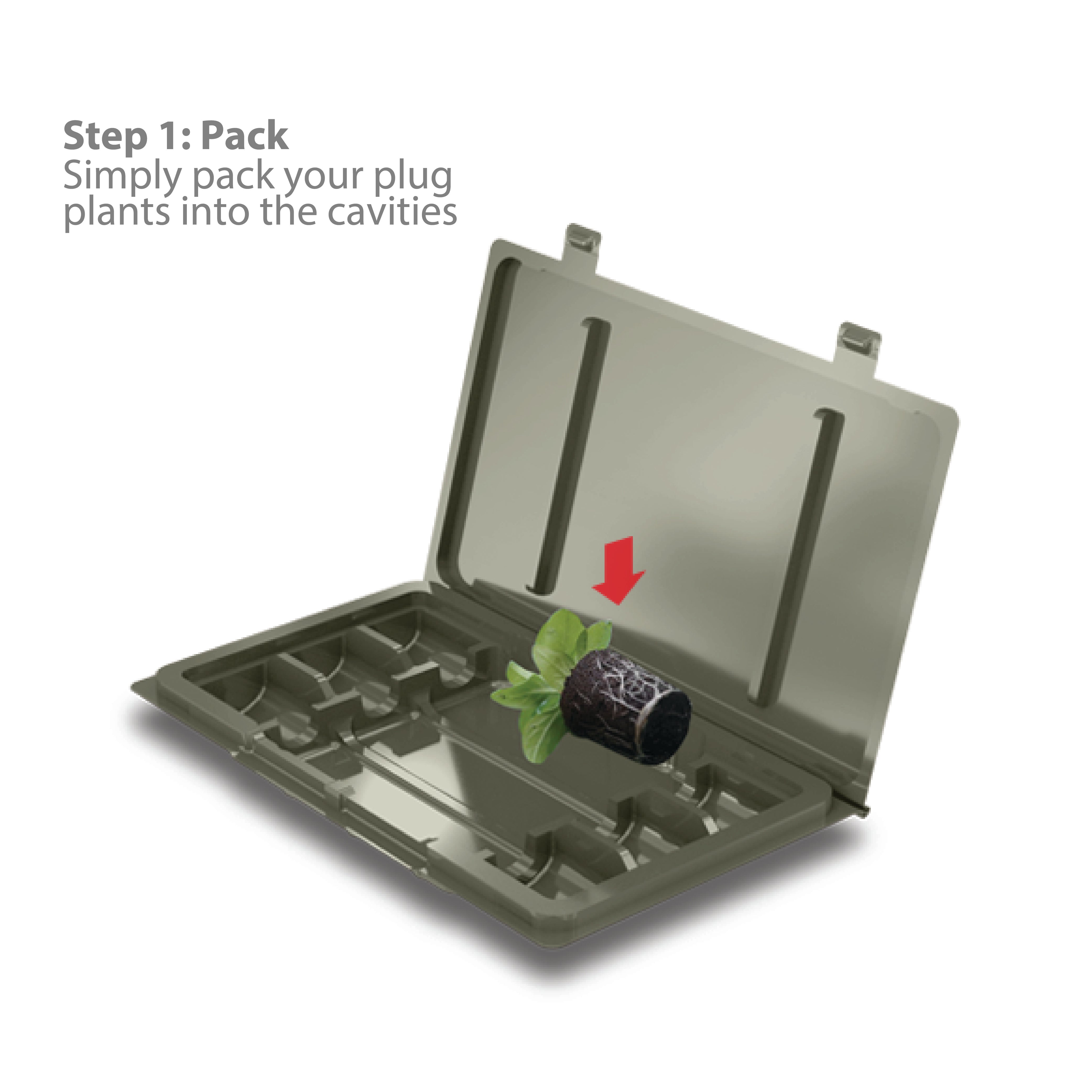 Clone Shippers - 18 Site Postal Friendly