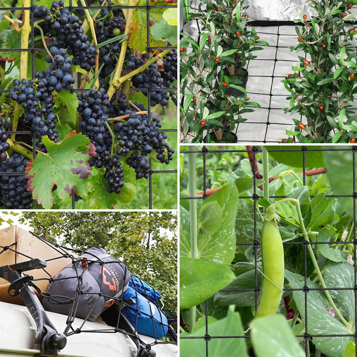 VIVOSUN Elasticated Netting