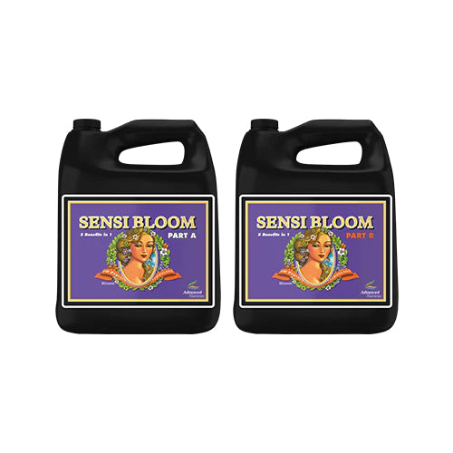 Advanced Nutrients Sensi Bloom A+B
