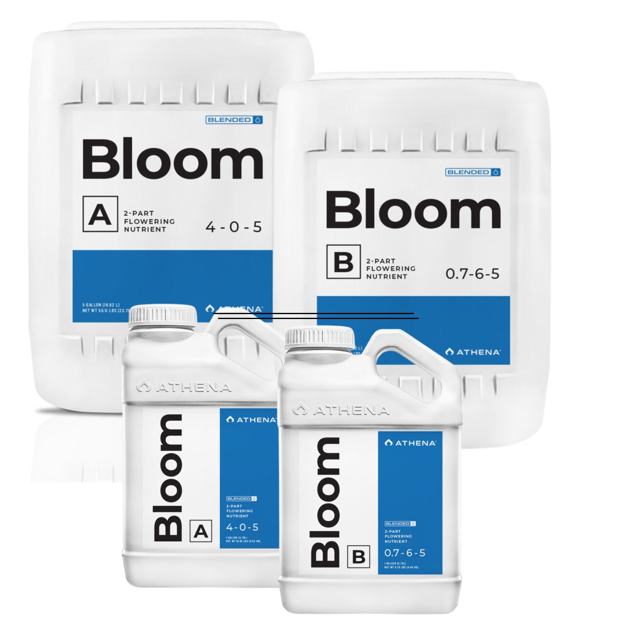 Athena Blended Bloom A/B