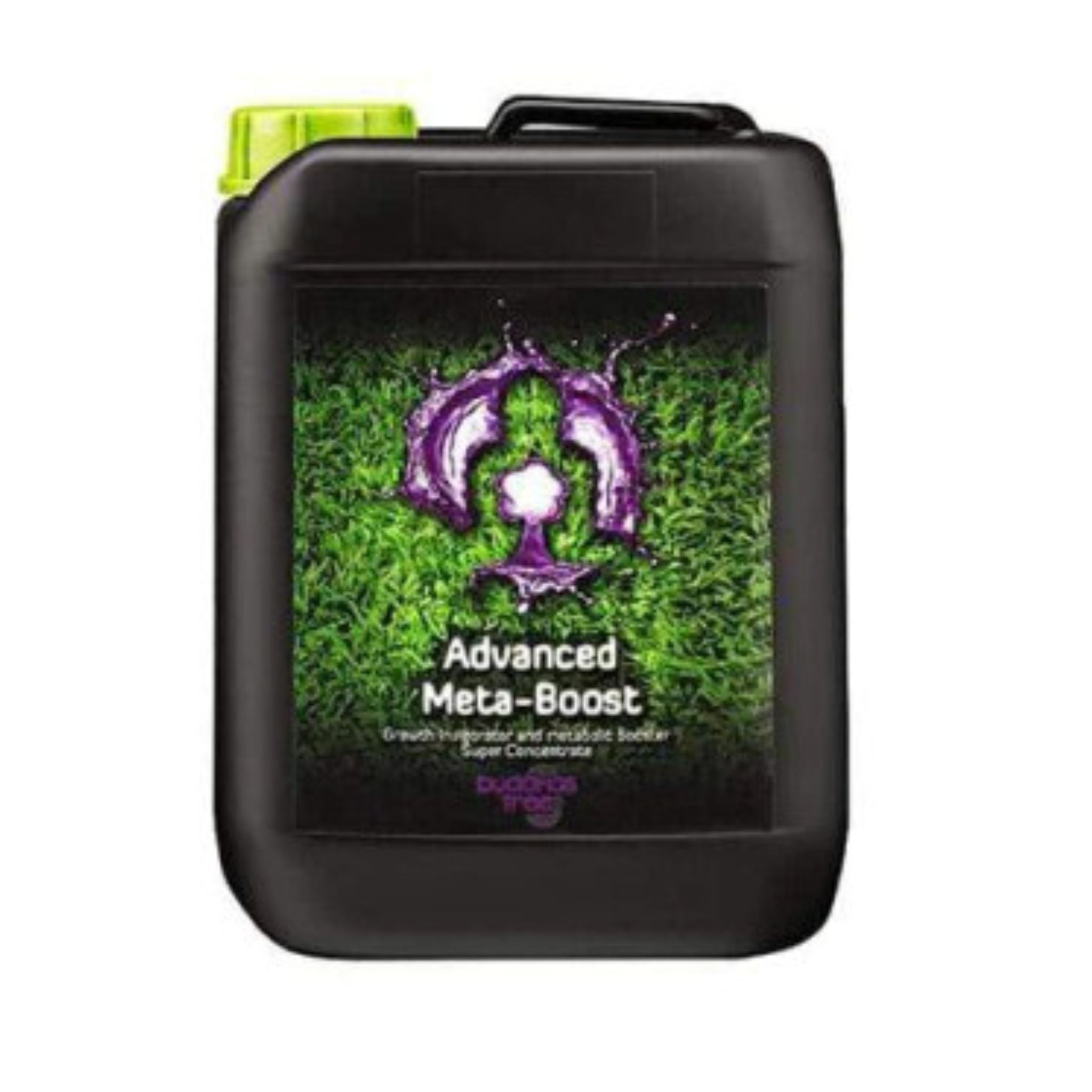 Buddhas Tree Meta Boost