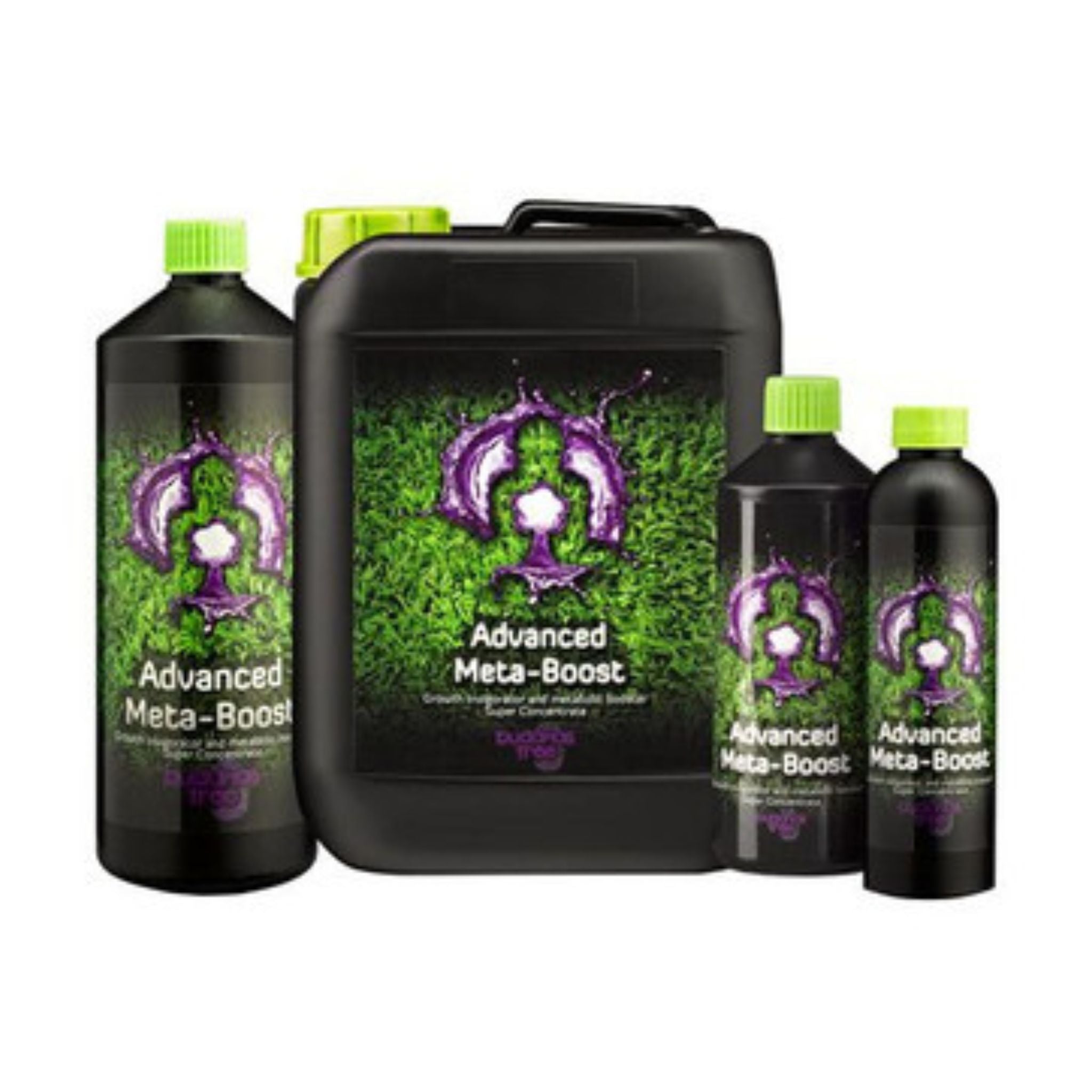 Buddhas Tree Meta Boost