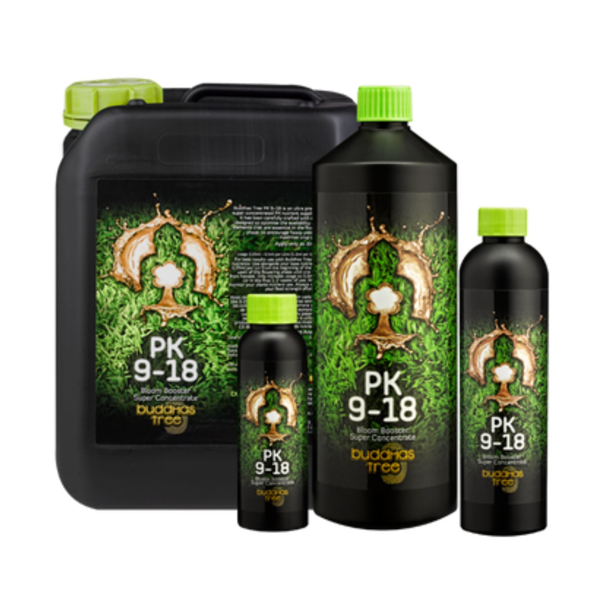 Buddhas Tree PK 9/18