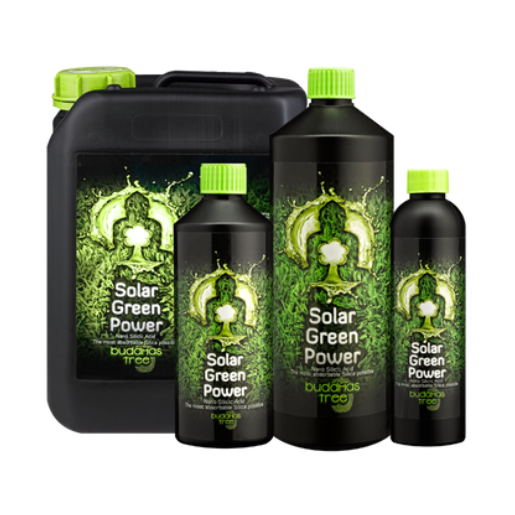 Buddhas Tree Solar Green Power