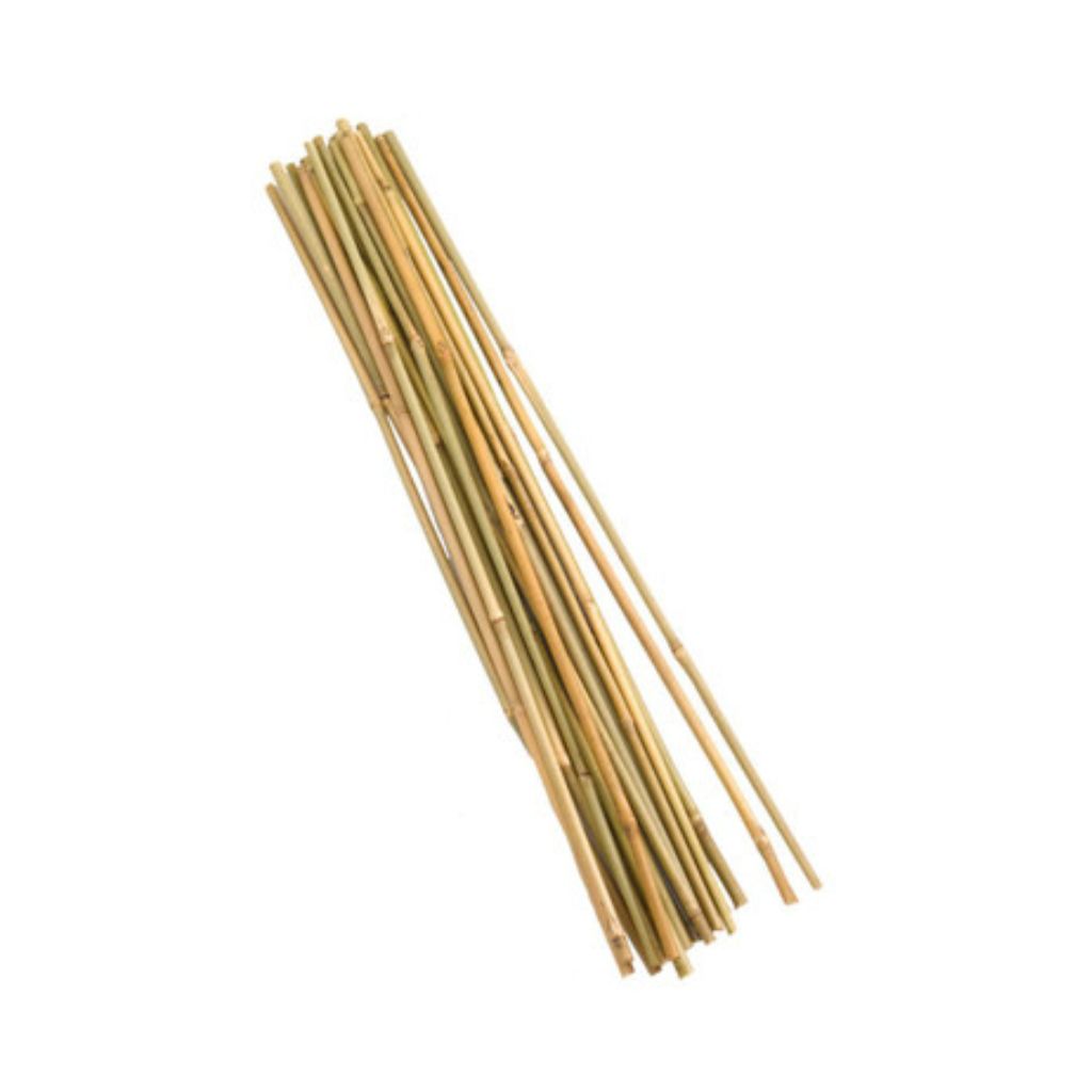 Bamboo Canes