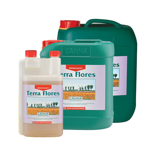 Canna Terra Flores