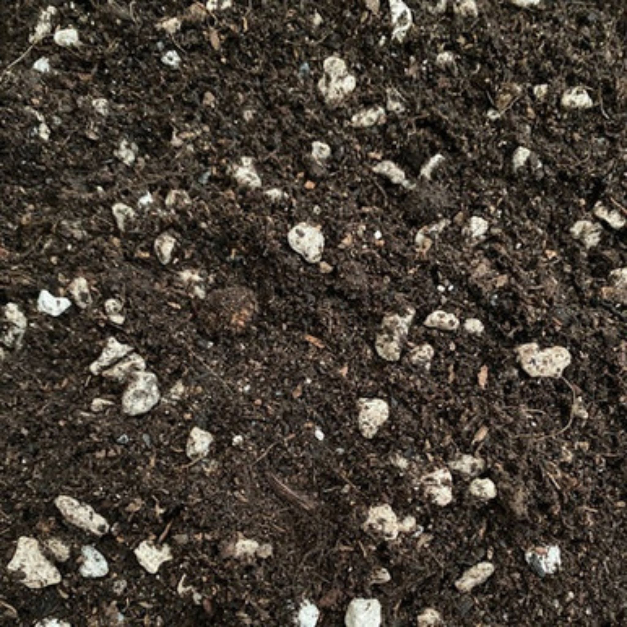 Ecothrive Eco-Life Supercharged Soil 45L
