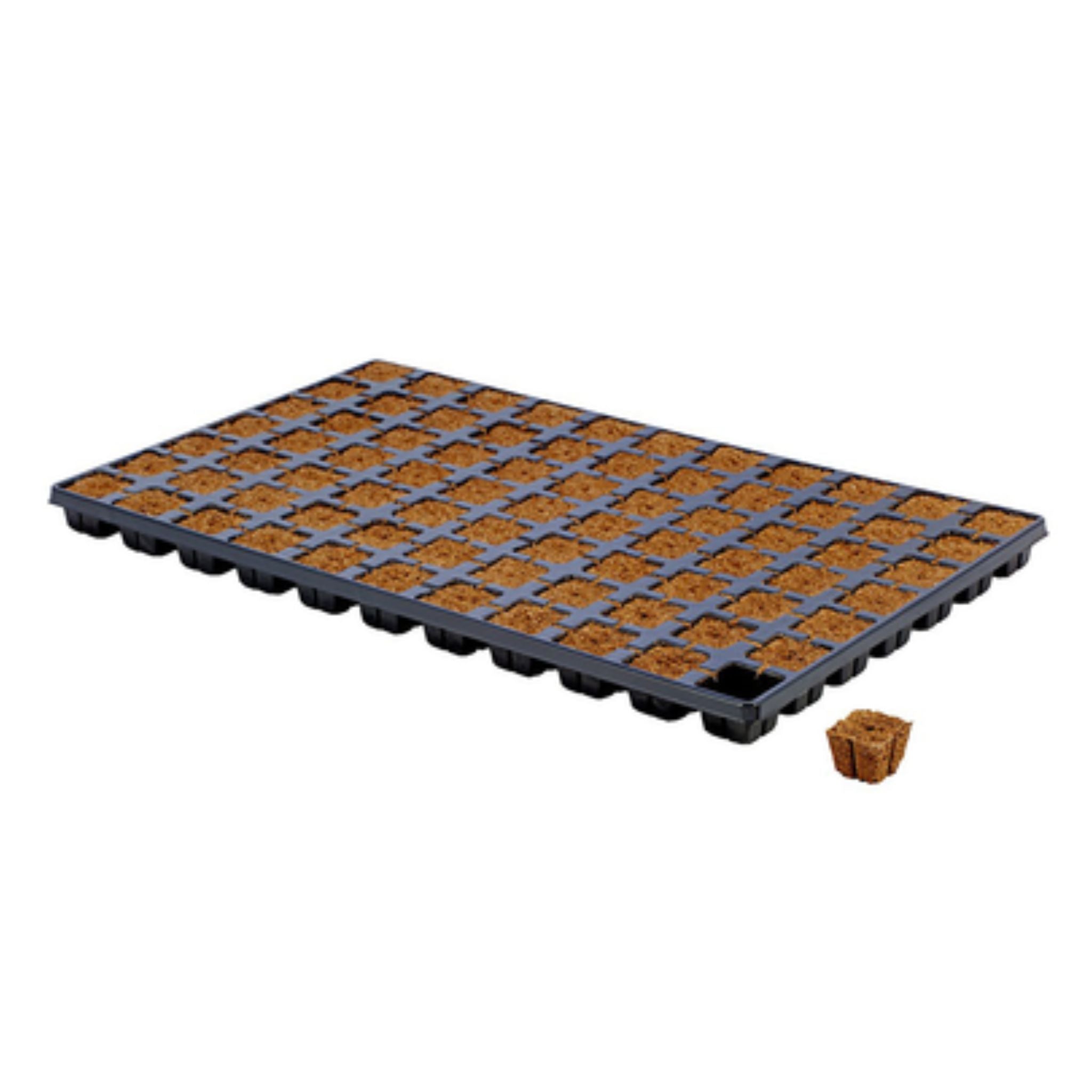 Eazy Plug Propagation Cubes