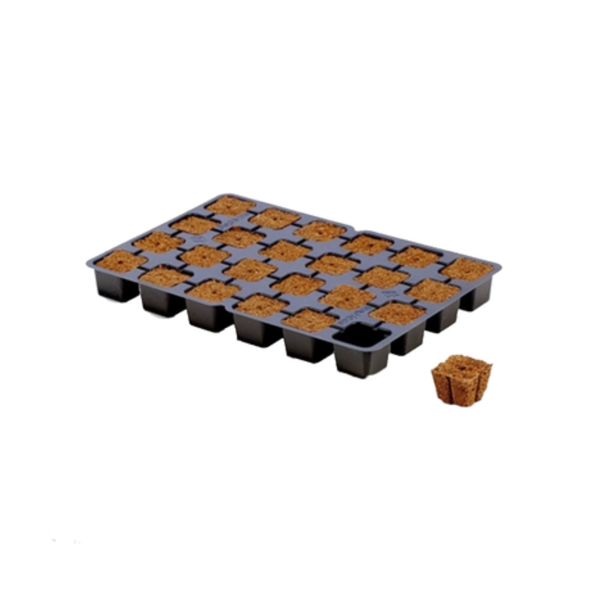Eazy Plug Propagation Cubes