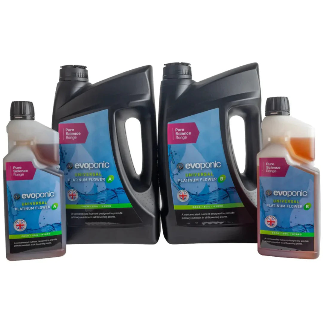 Evoponic Platinum Flower