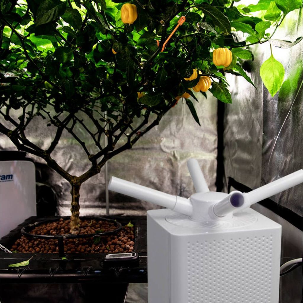 GAS Sonic Air Humidifiers