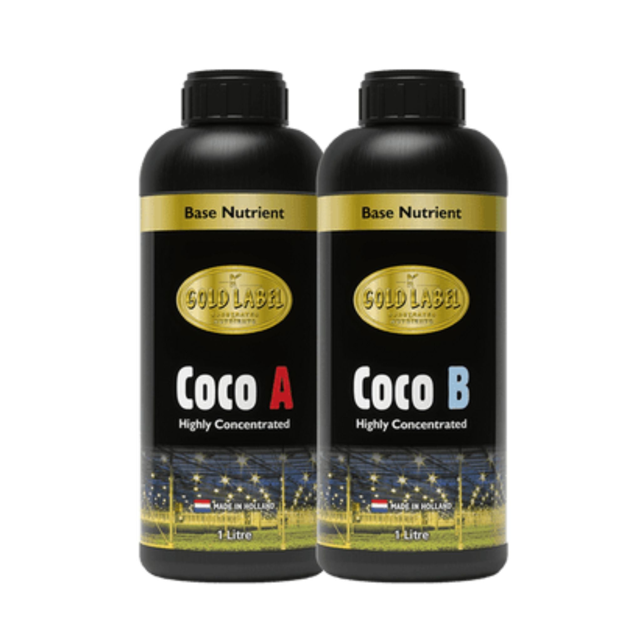 Gold Label Coco (A&B)
