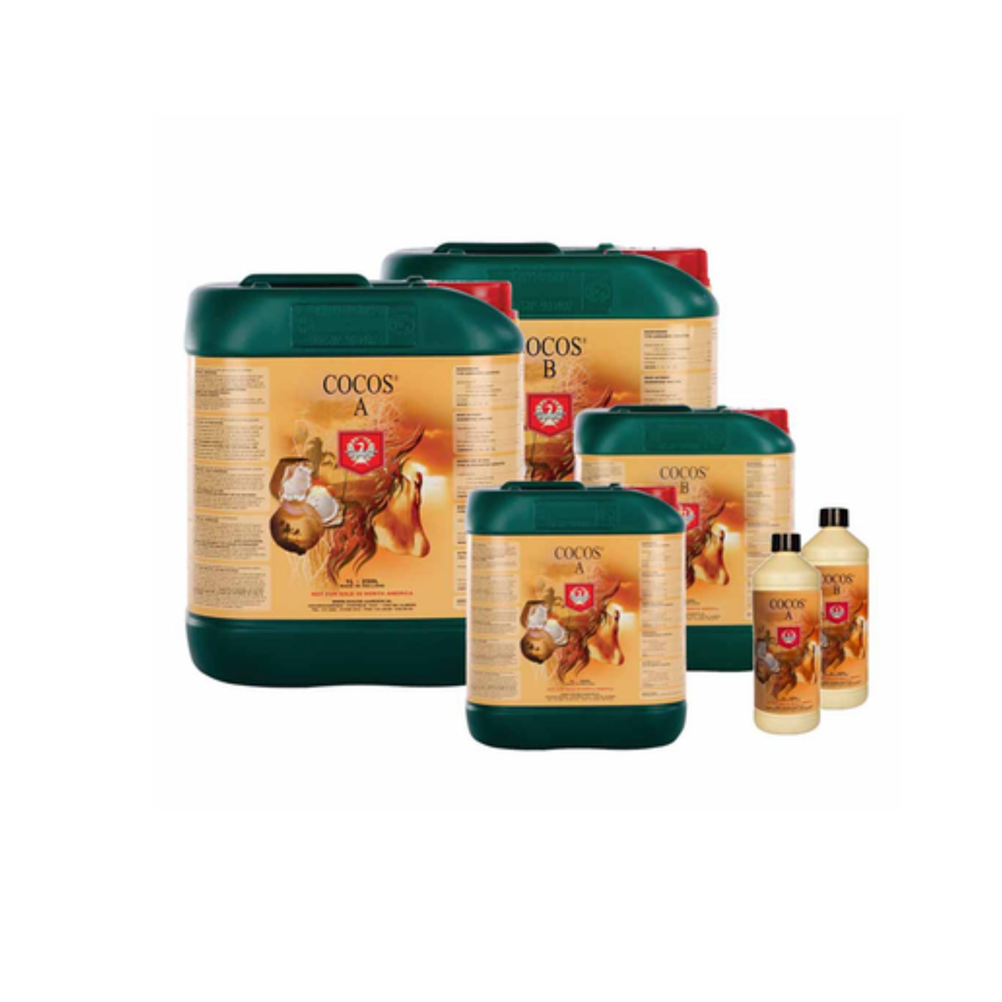 House & Garden Coco (A&B)