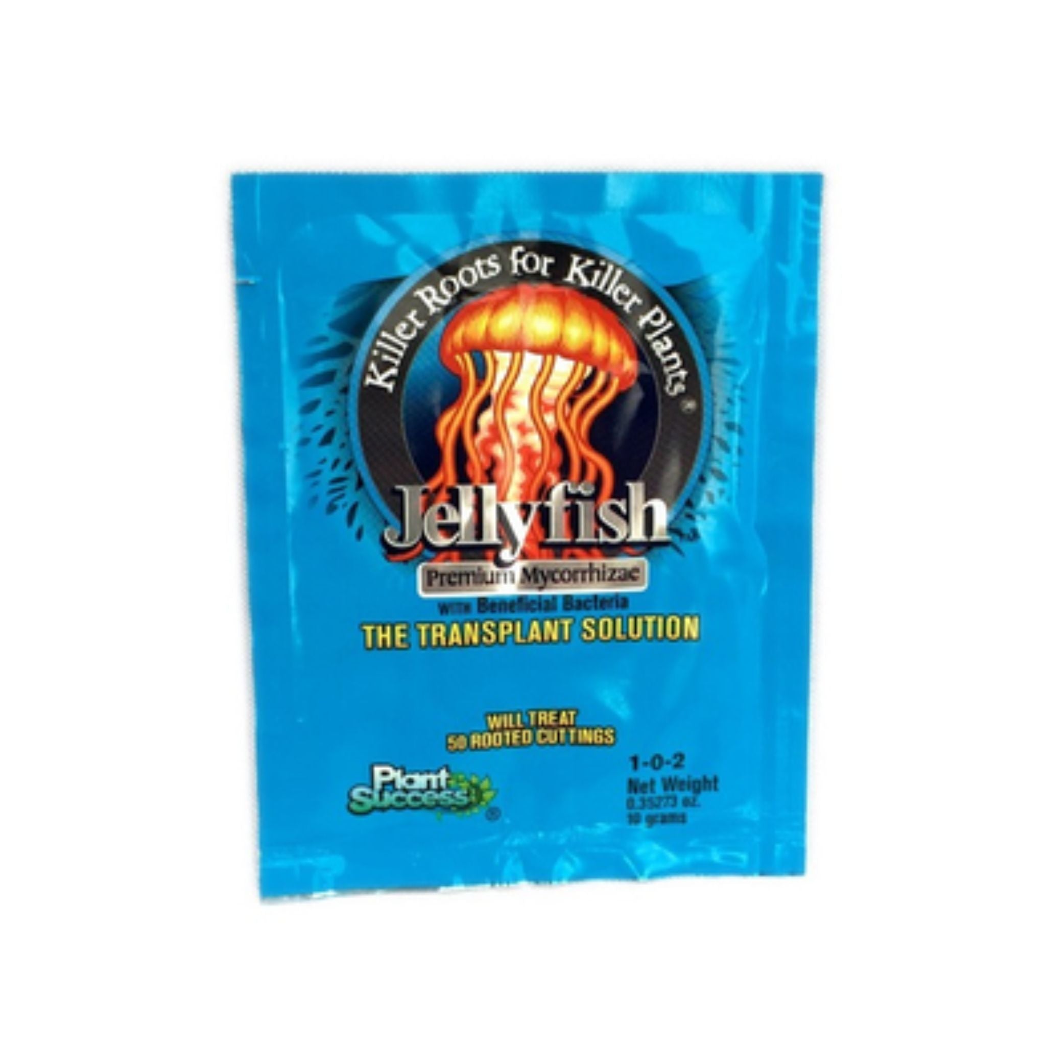 Jellyfish Mycorrhizae