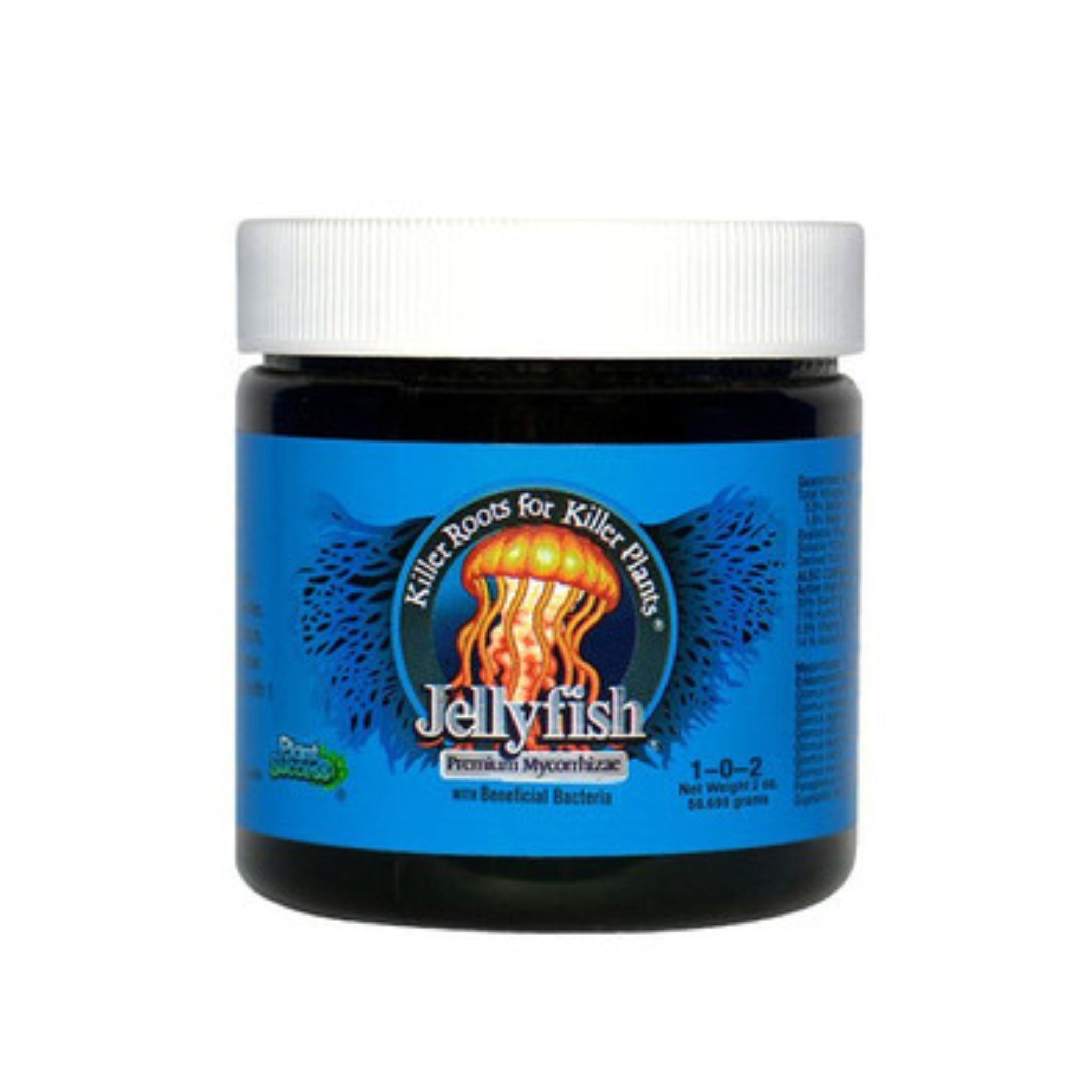 Jellyfish Mycorrhizae