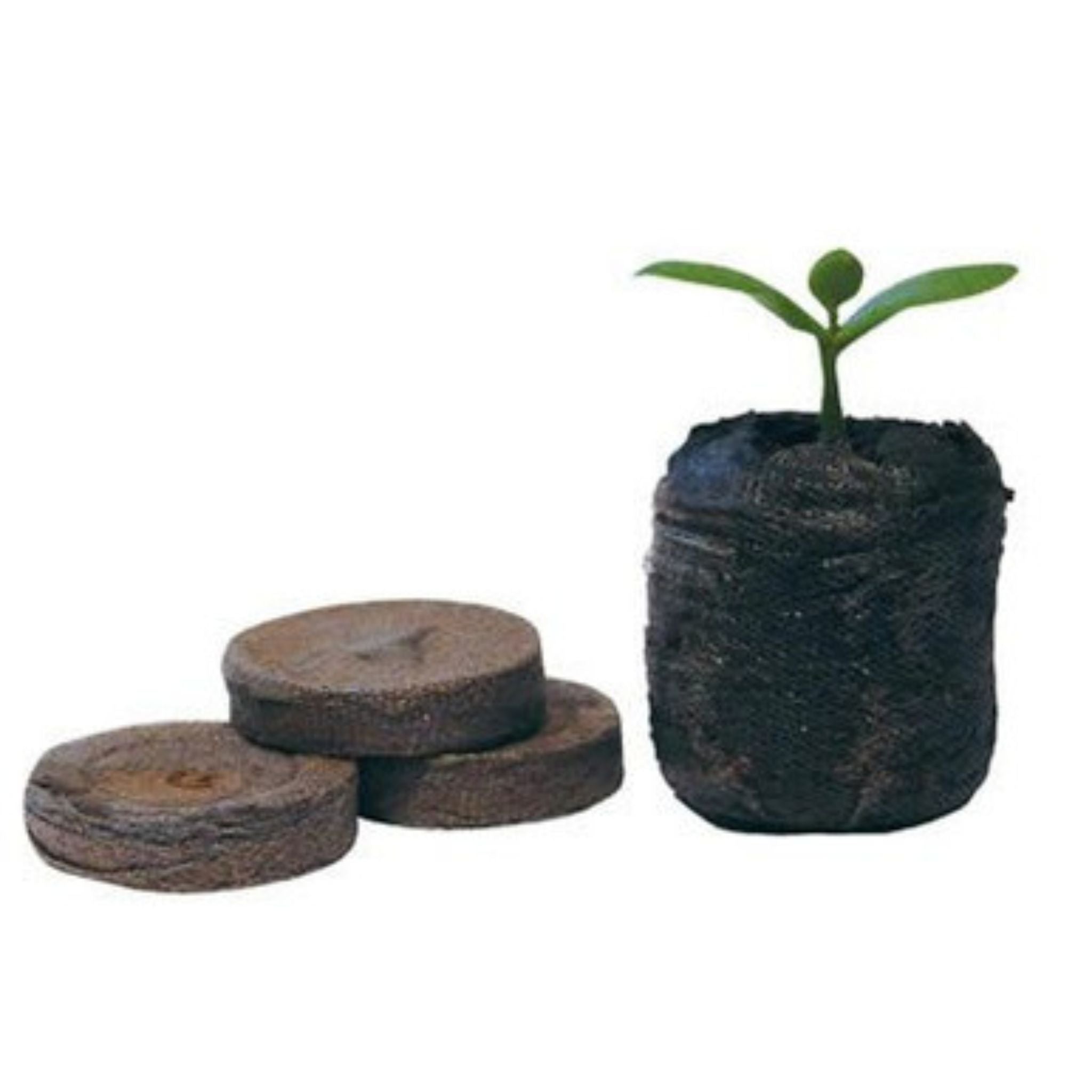 Jiffy Peat Propagation Plugs