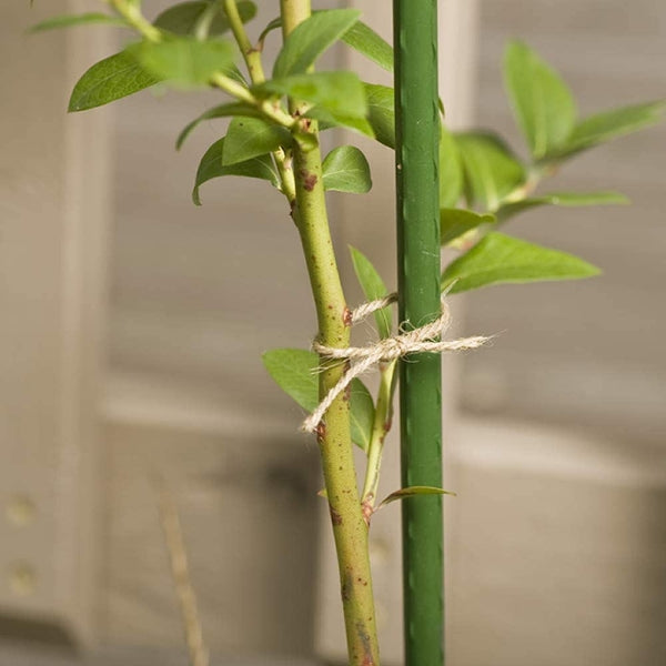 IV:XX Growers Choice 100m Jute Garden Twine (Ball)