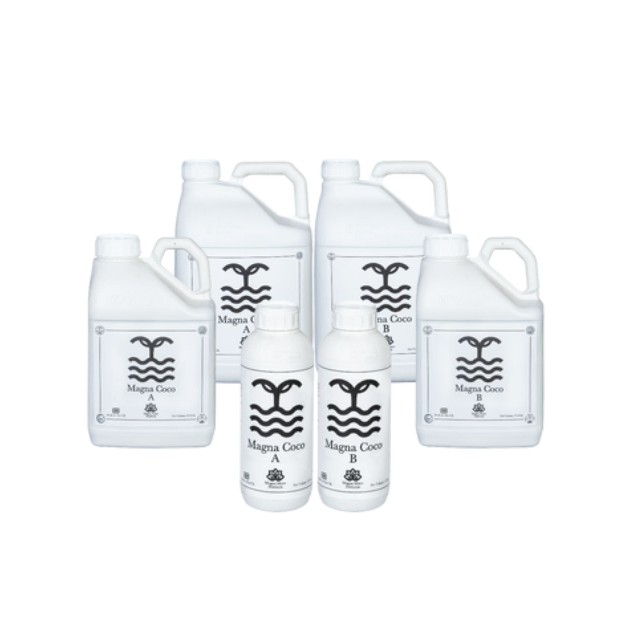 Magna Mater Coco (A&B)