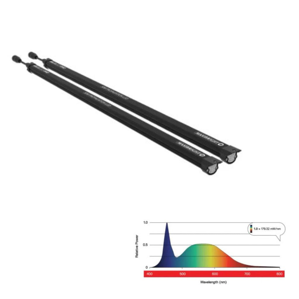 Maxi LED PRO - 2 x 30w Propagation LED