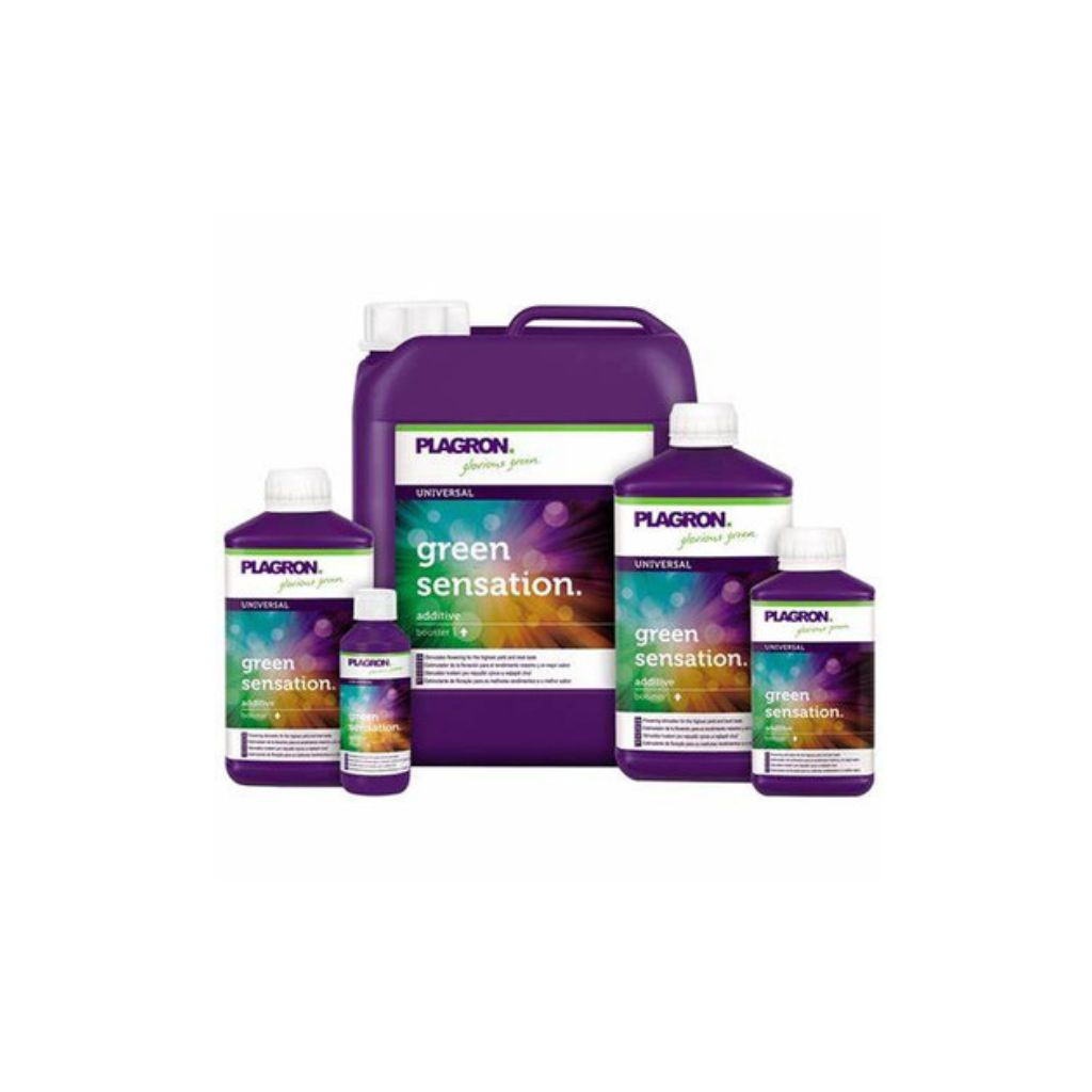Plagron Green Sensation
