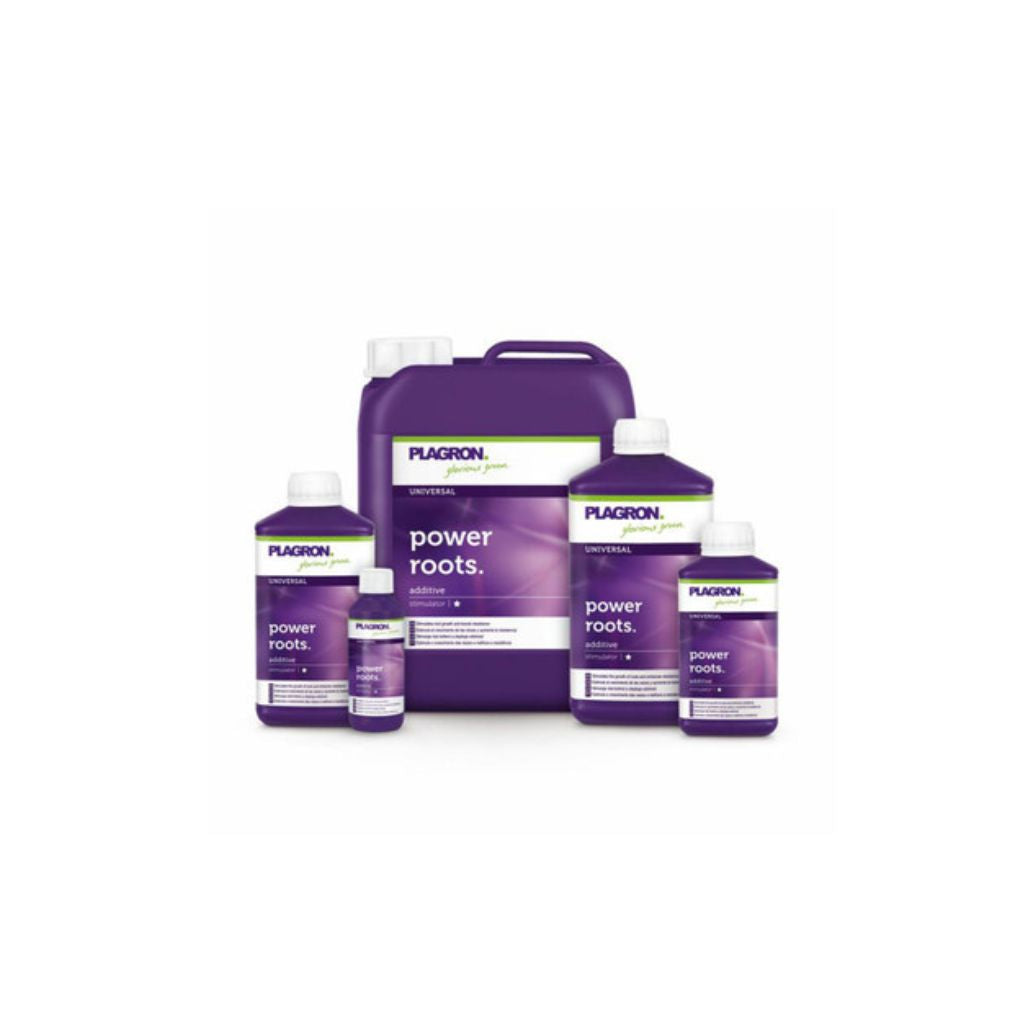 Plagron Power Roots