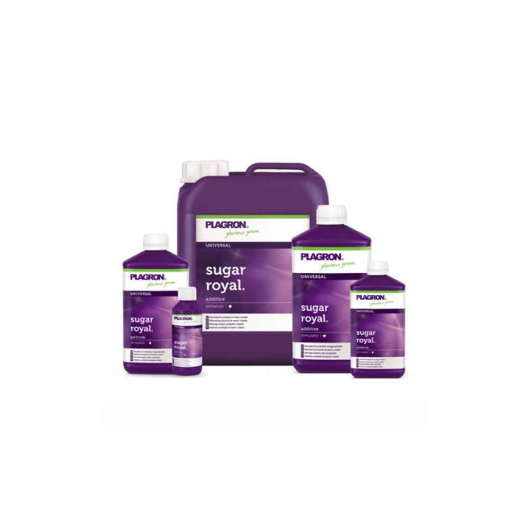 Plagron Sugar Royal