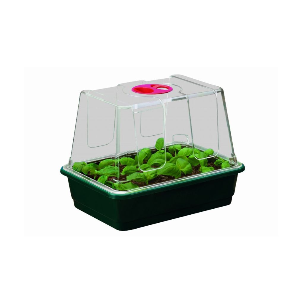 Garland Propagators