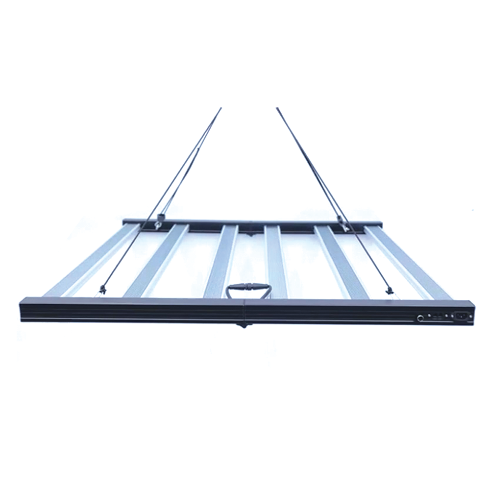 Prime 720W Internally Ballasted LED