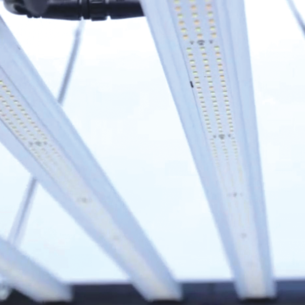 Prime 720W Internally Ballasted LED