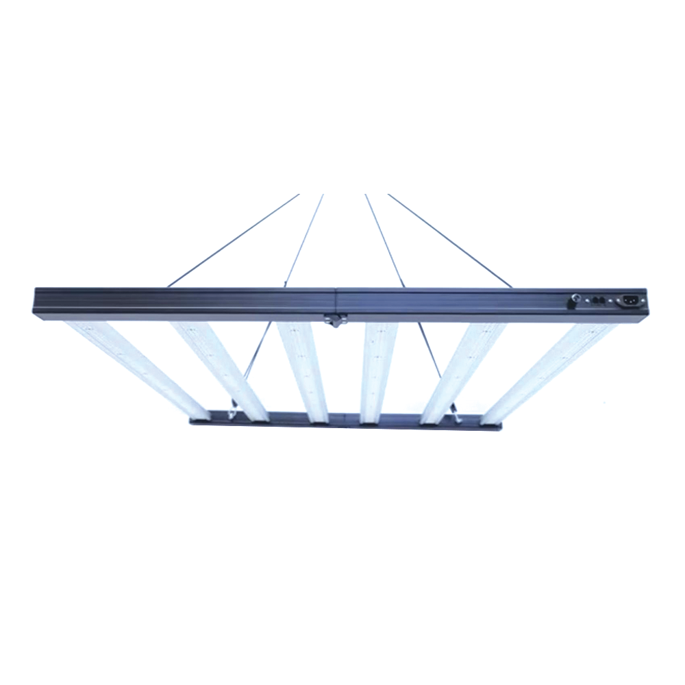 Prime 720W Internally Ballasted LED