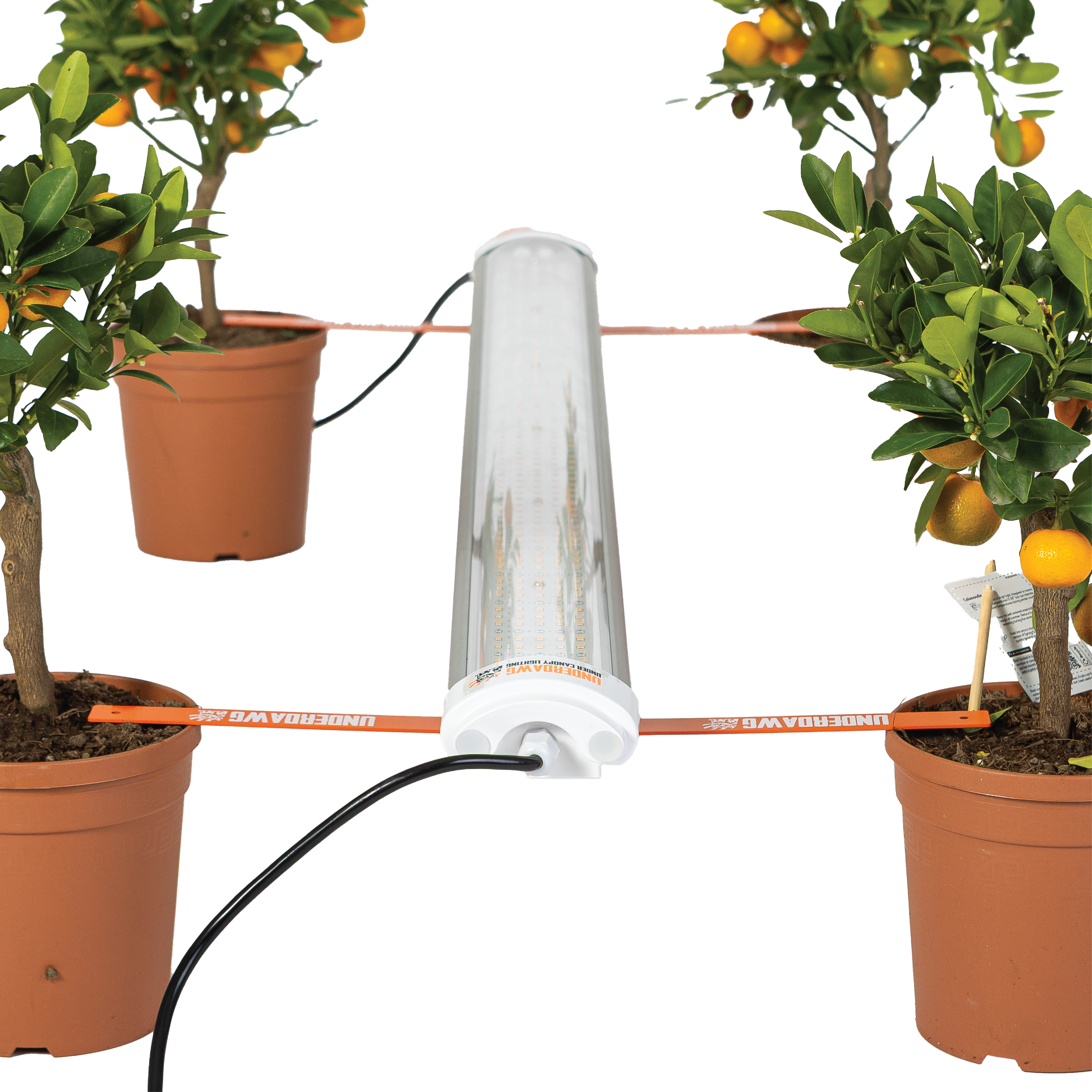 UnderDawg 120W Under Canopy LEDs