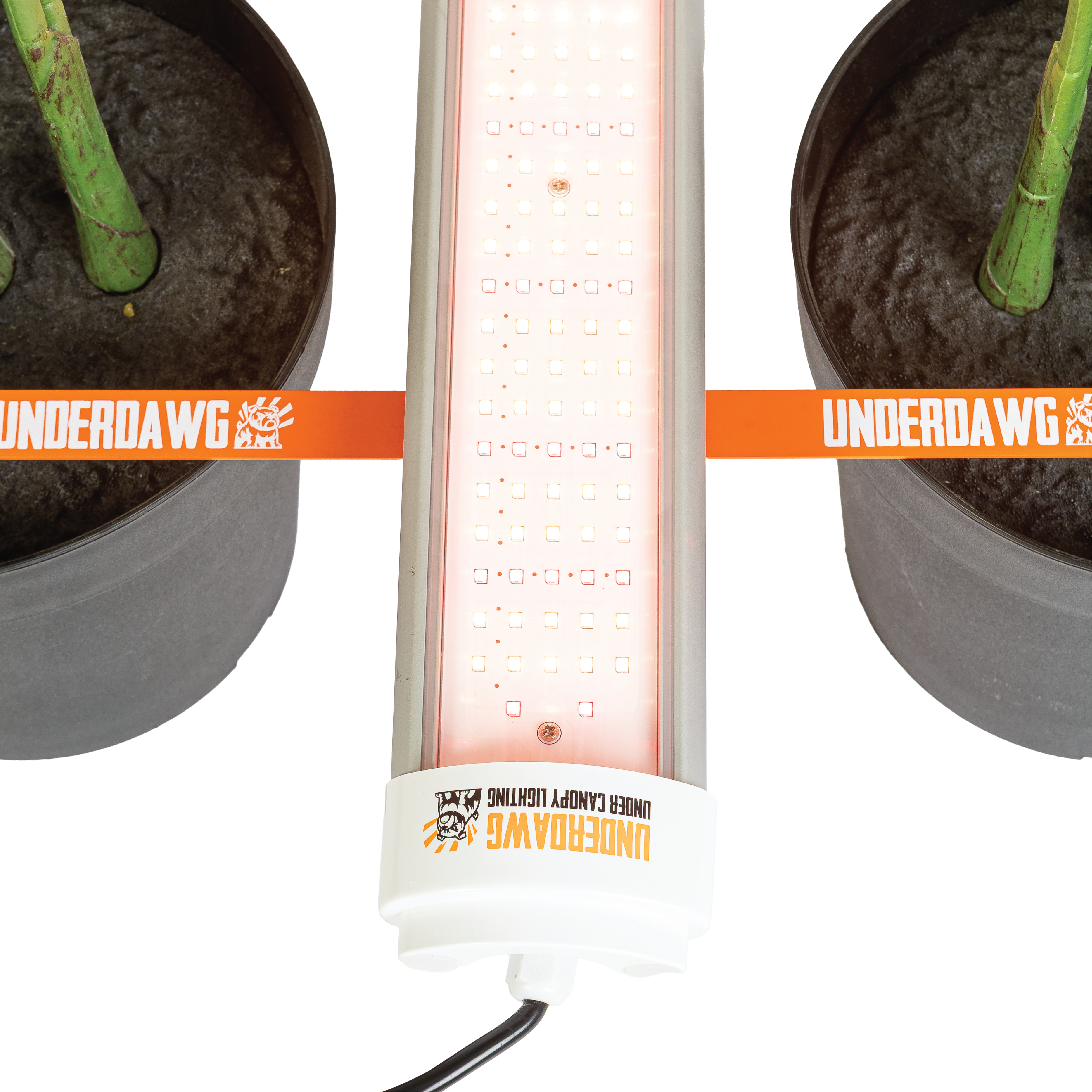UnderDawg 120W Under Canopy LEDs