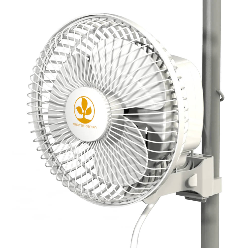 Secret Jardin Monkey Fans