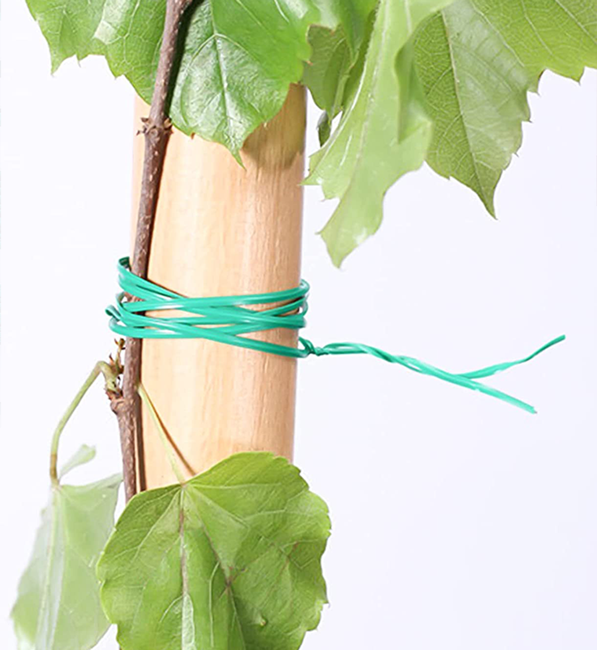 IV:XX Growers Choice Garden Twist Tie Wire