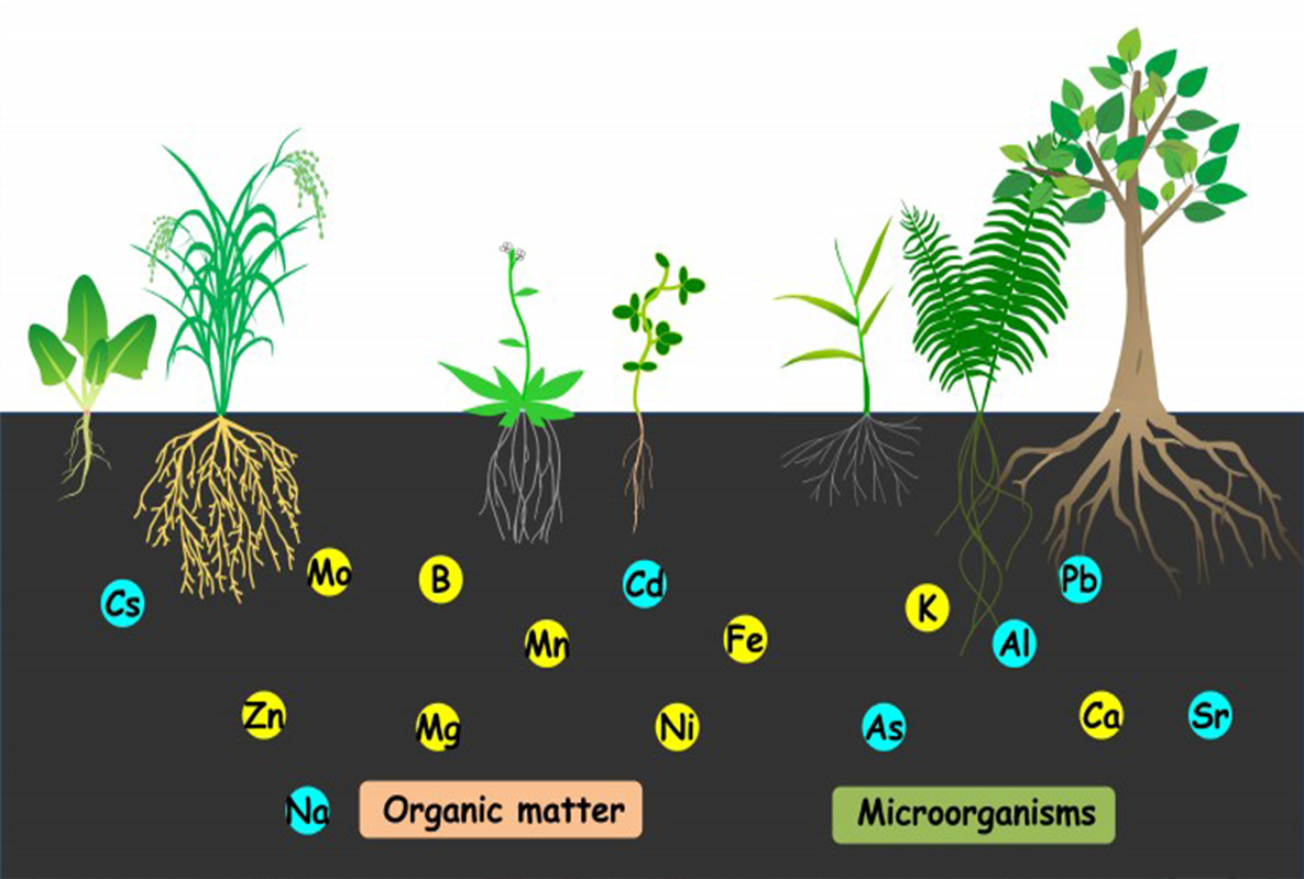Optimising Your Environment And Nutrition – Green Spirit Horticulture