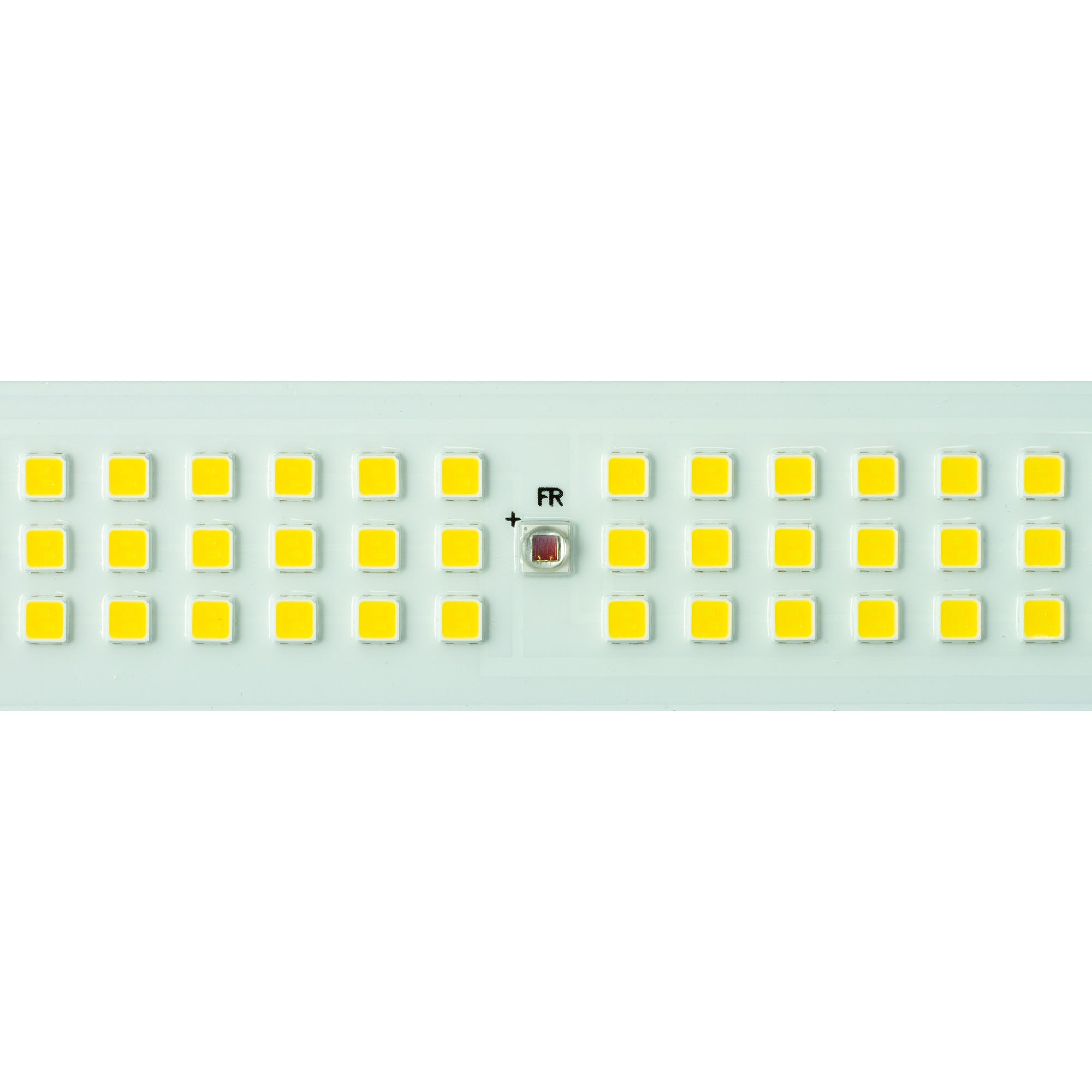 Maxibright Daylight 1030W PRO (GEN3) Pre Order Only!