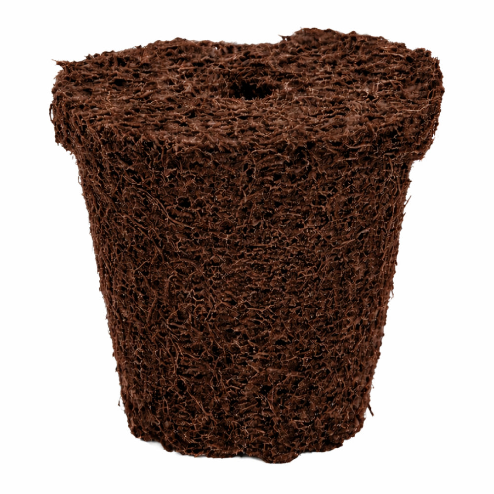 Plug Life Color Plug Life 100% Coco Peat Plugs - For cuttings And Propagation – Green ...