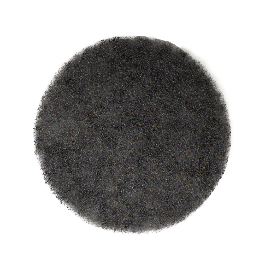 G.A.S AirTitan UV-C Sanitizer Pack of 2 Replacement Carbon Filters