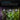 AC Infinity Grow Room Glasses