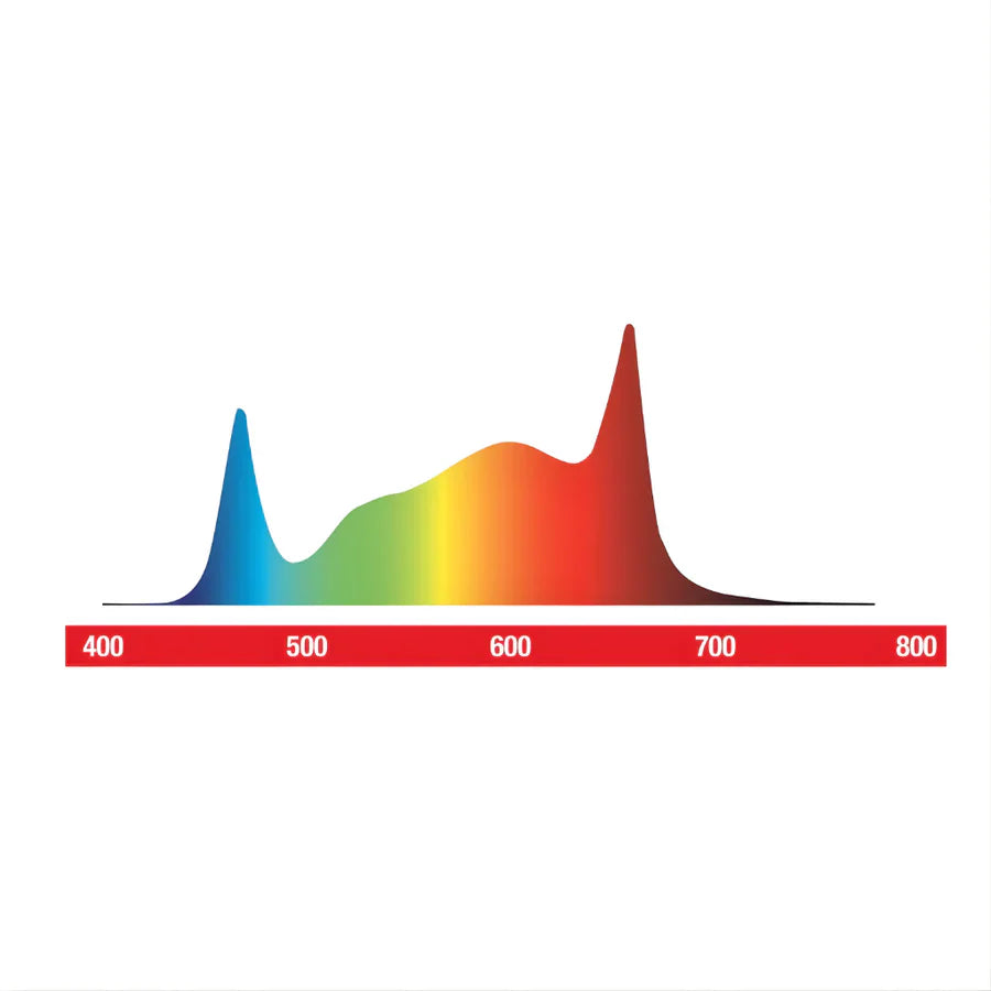 Maxibright Varidrive Splittable 500/1000w LED