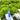 Bluelab OnePen