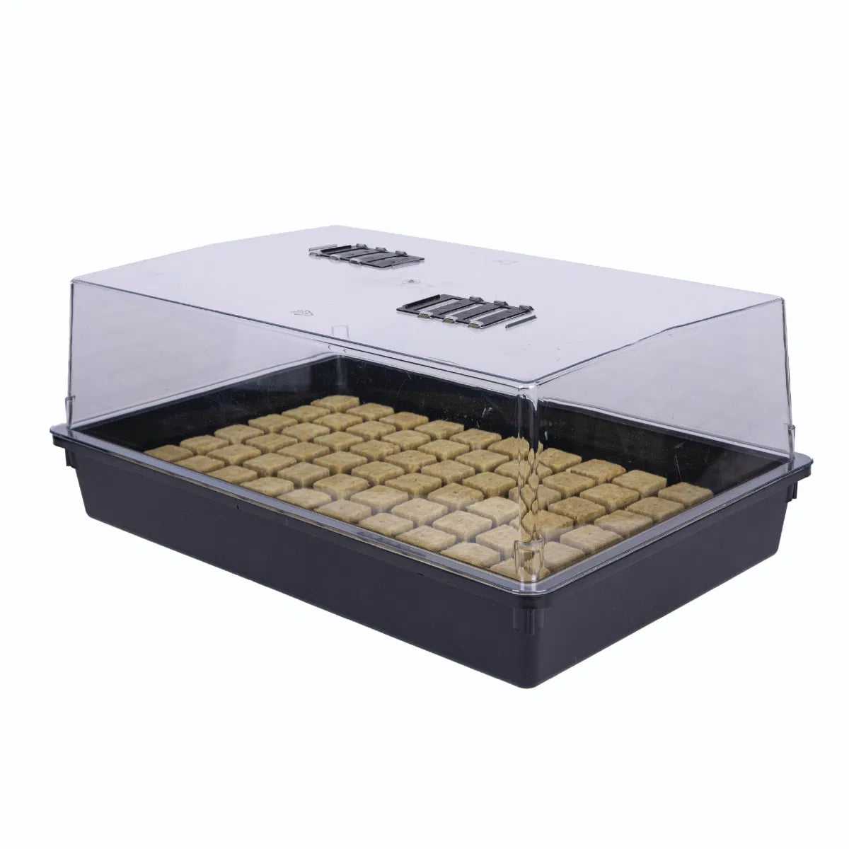 Rigid Propagator Lid and Base (58X38x24cm)