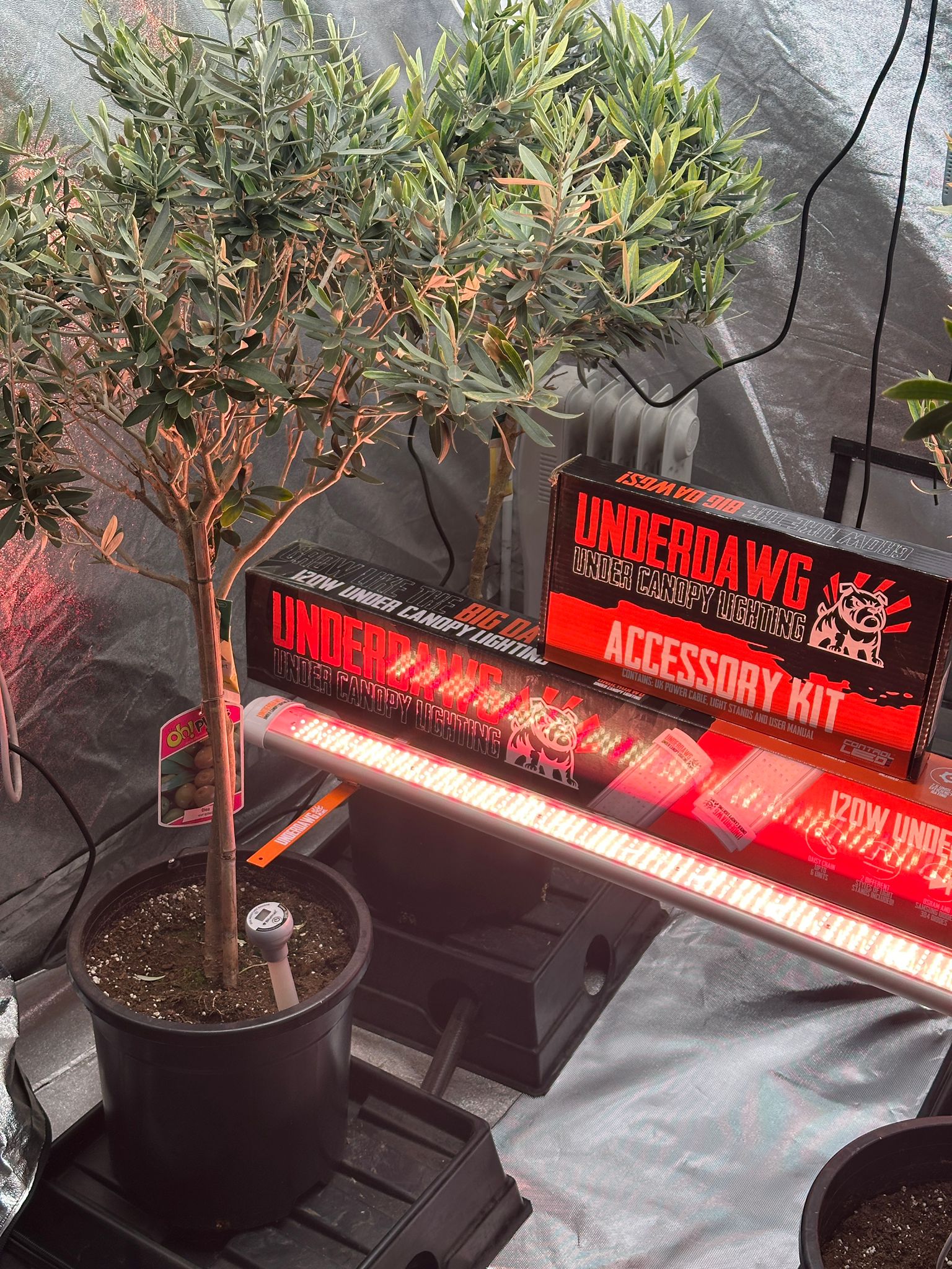 UnderDawg 120W Under Canopy LEDs