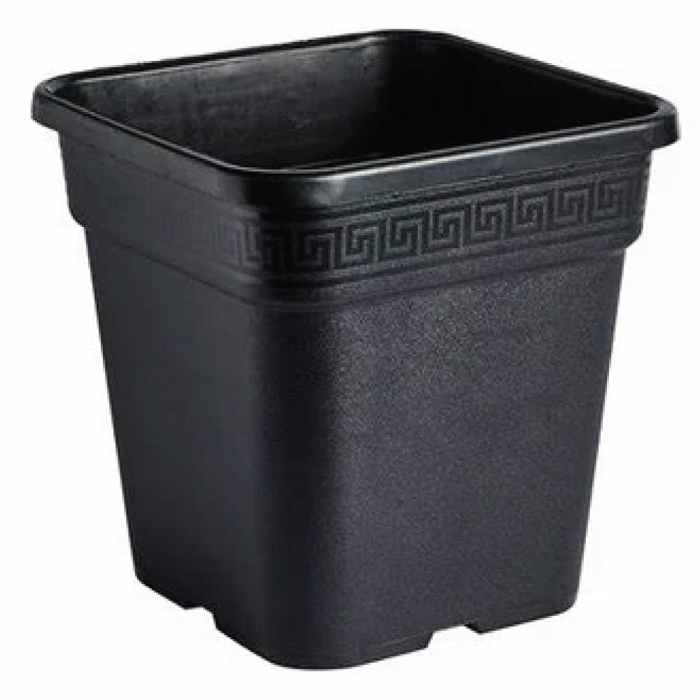 Wilma Square Plant Pots